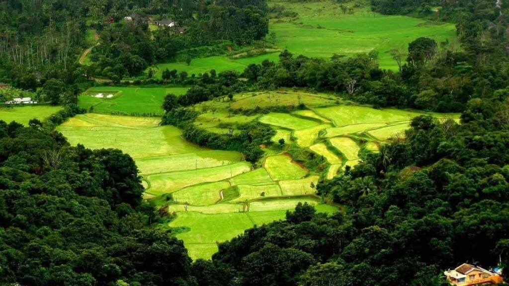 What are a few good places to visit in India in the month of June