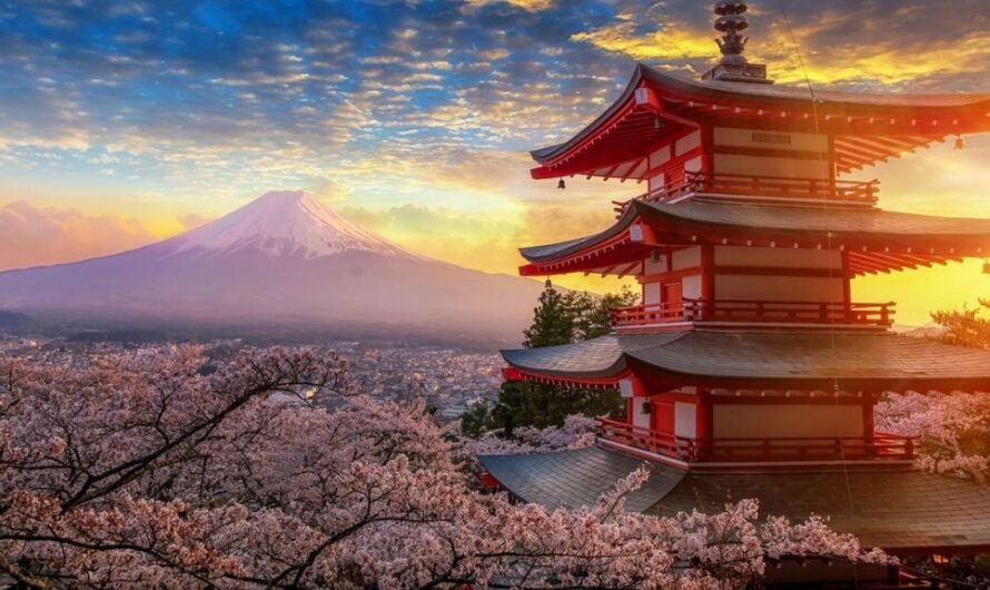 If you are to travel the world, which countries would you visit first?