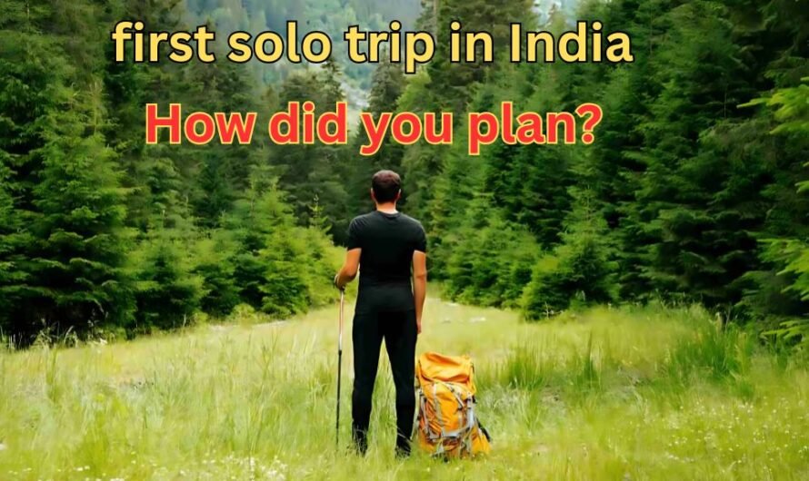 Where did you go on your first solo trip in India? How did you plan? What was your budget and how was your experience?
